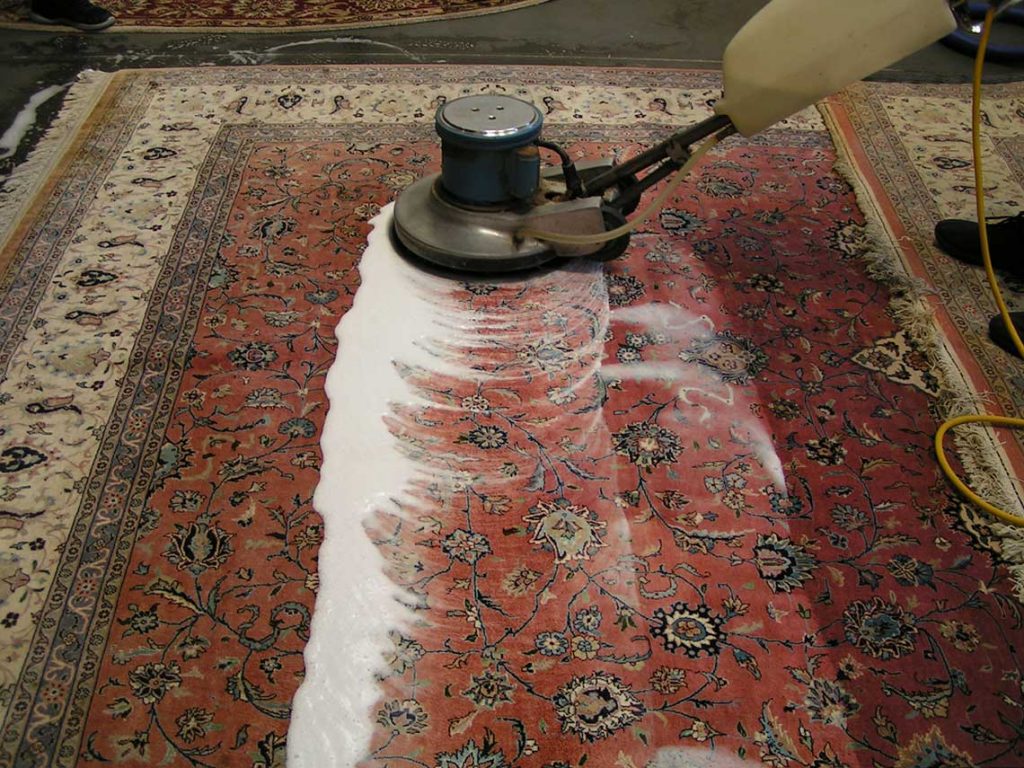 professional carpet cleaning services