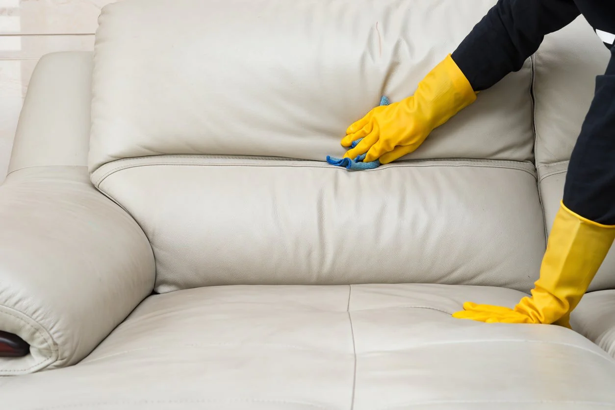 leather sofa cleaning