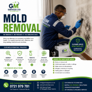 Mold removal services